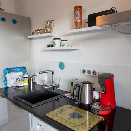 Lovely 48 M2 Appt With Sea View And Swimming Pool Apartment Antibes
